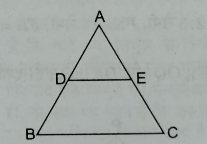 प्रश्न 14 का आकृति