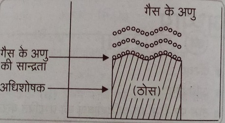 अधिशोषण की क्रियाविधि