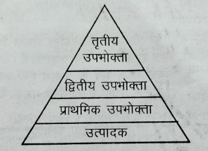 आहार श्रृंखला में प्रत्येक पोषी स्तर