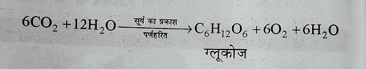 प्रकाश संश्लेषण की प्रक्रिया में अभिक्रिया